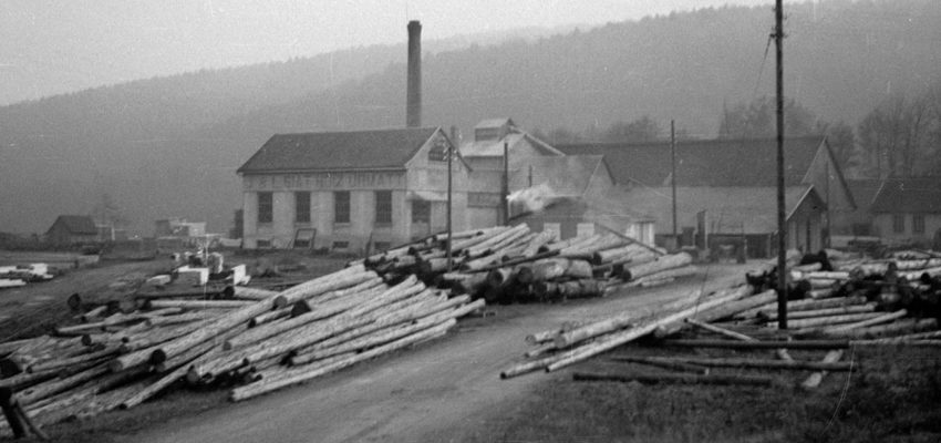 > Matière à vivre <